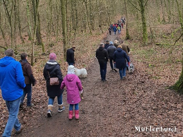 Völkerwanderung im Mühlenbusch?