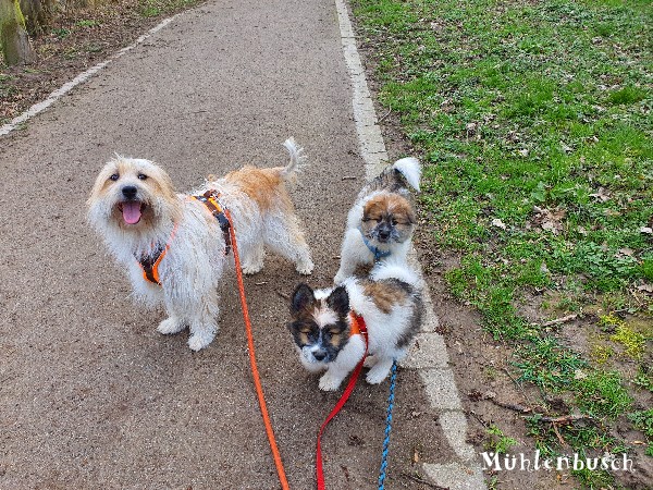 Da waren es nur noch 2 Jungs (Henry-Otto und Hajo)