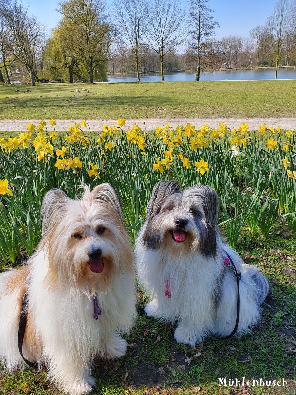 Der Frühling kommt trotzdem