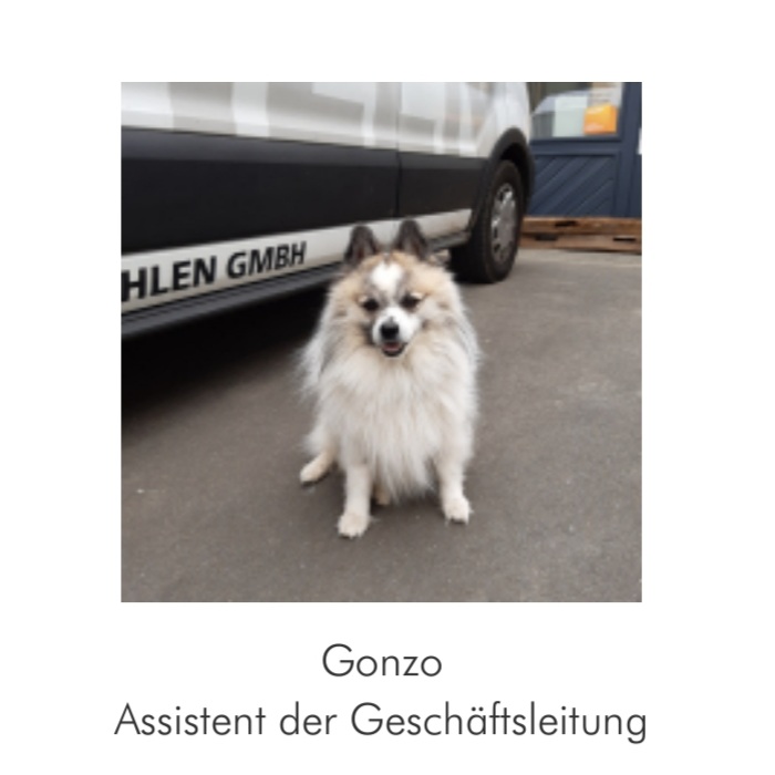 Gonzo – Assistent der Geschäftsführung