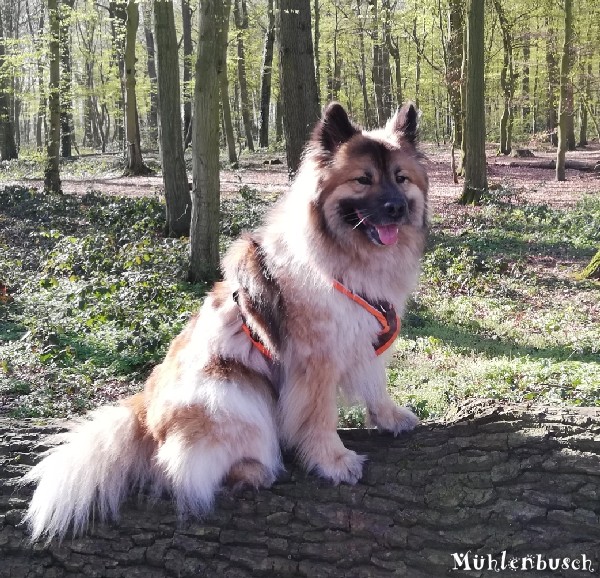 Smudo und sein Bruder Carlo