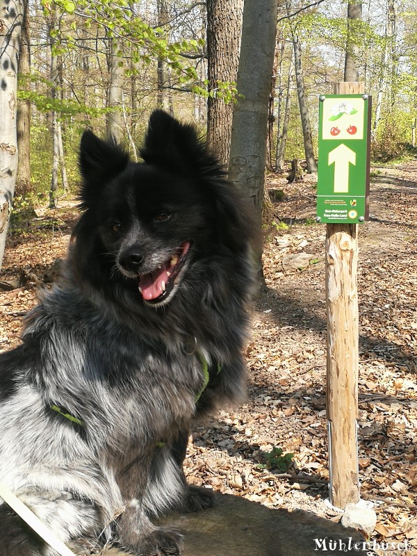 Nelson im „Frau Holle Land“