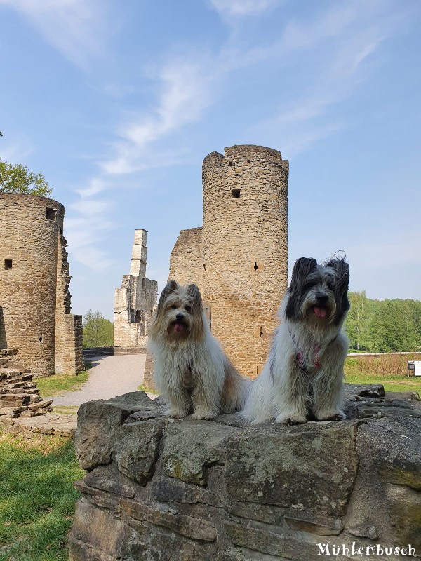 Josy und Lina sind 2 wunderschöne Burgfräulein