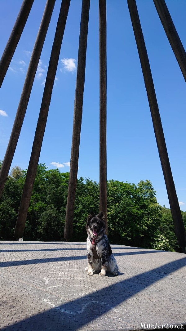 Fiete im Revierpark Vonderort