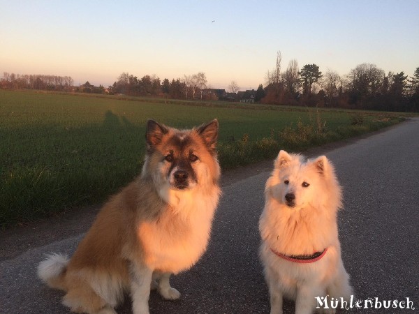 Jumie und Amira sind gute Freundinnen geworden