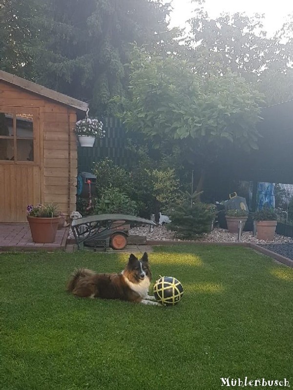 Becky freut sich über Fußball