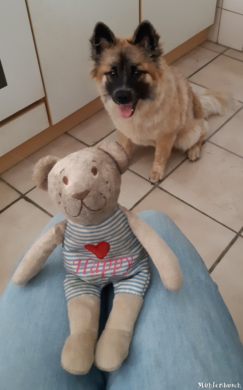 Happy liebt ihren Happy-Teddy