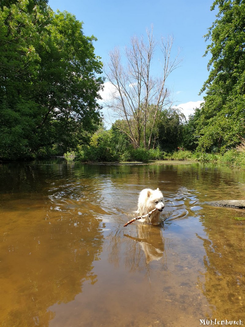 Anton und das Wasser