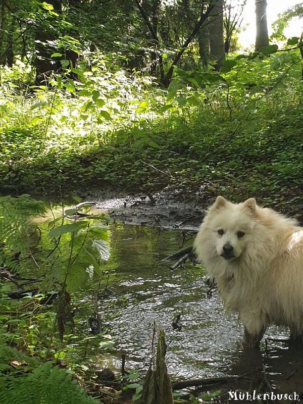 Anton liebt das Wasser