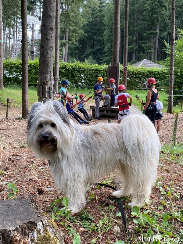 Phino mit seinen Herrchen im Adventure Forest