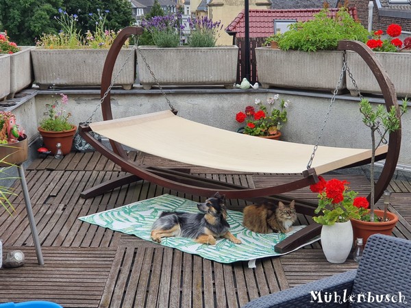 Ella relaxed mit Katzenkumpel auf der Terrasse