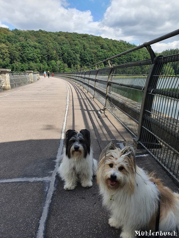 Josy und Lina auf der Hasper Talsperre