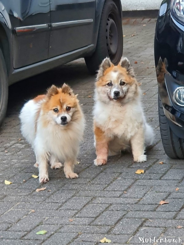 Aisha und Anna – meine Seniorinnen