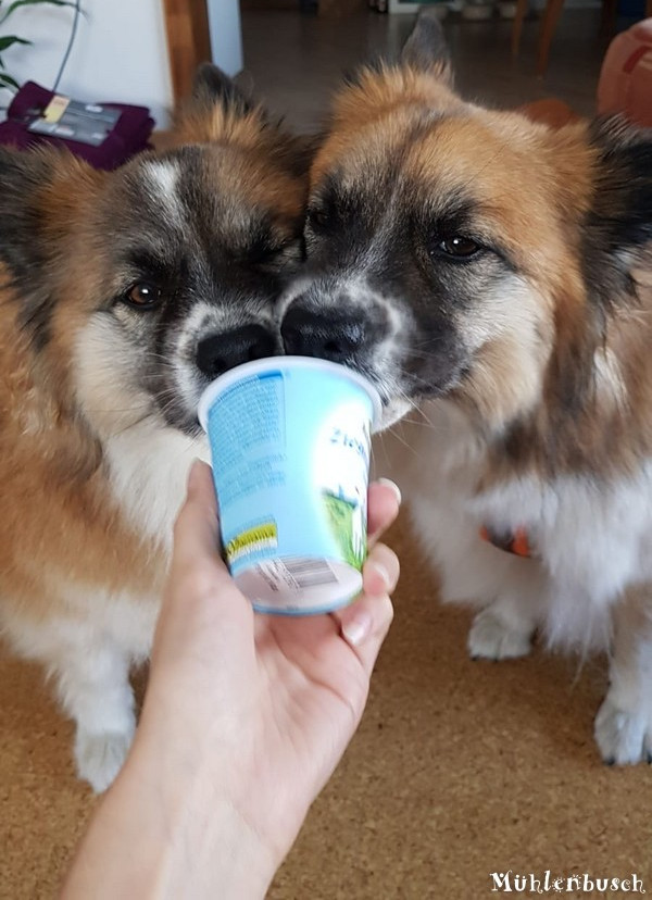 Lena und Yosie lassen sich einen Yoghurt schmecken