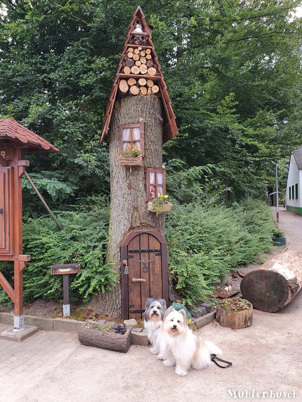 Josy und Lina vor dem Hexenhaus-Insektenhotel