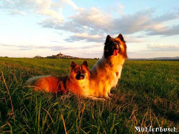 Lena und Yosie im Lichte des Sonnenuntergangs