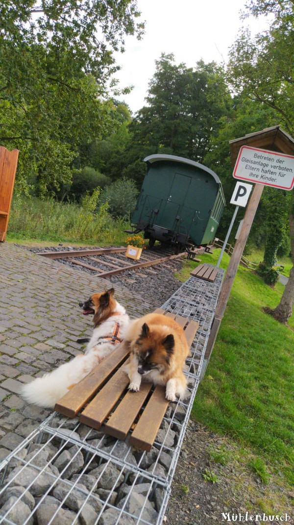 Lena und Yosie machen Pause am Gleis