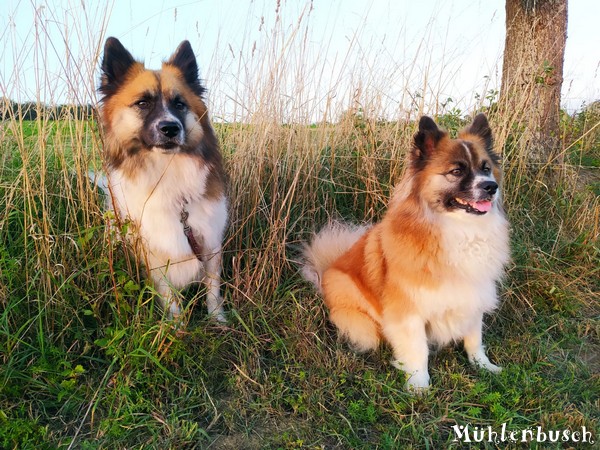 Yosie und Lena warten am Wegesrand