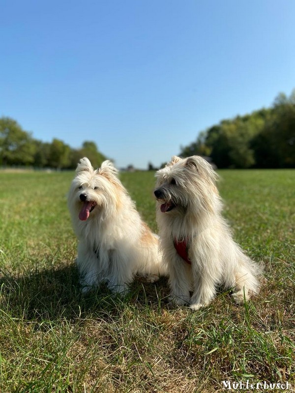 Loui und Ayumi haben Spaß