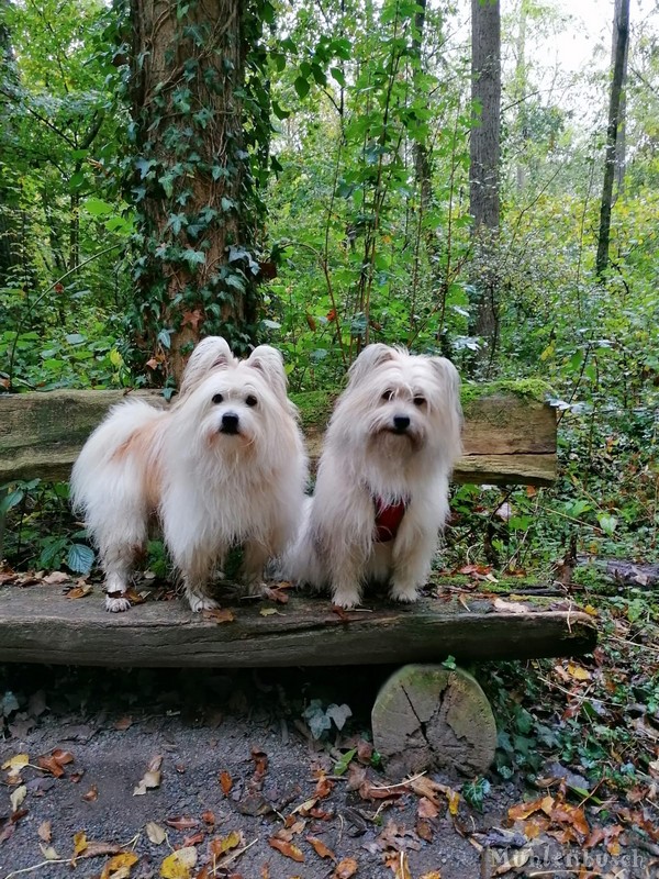 Loui und Ayumi senden liebe Grüße