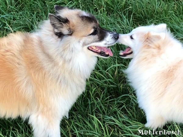 Jumie und Amira  – was die sich wohl zu sagen haben?