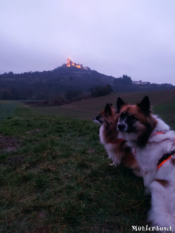 Yosie und Lena auf dem Abendspaziergang