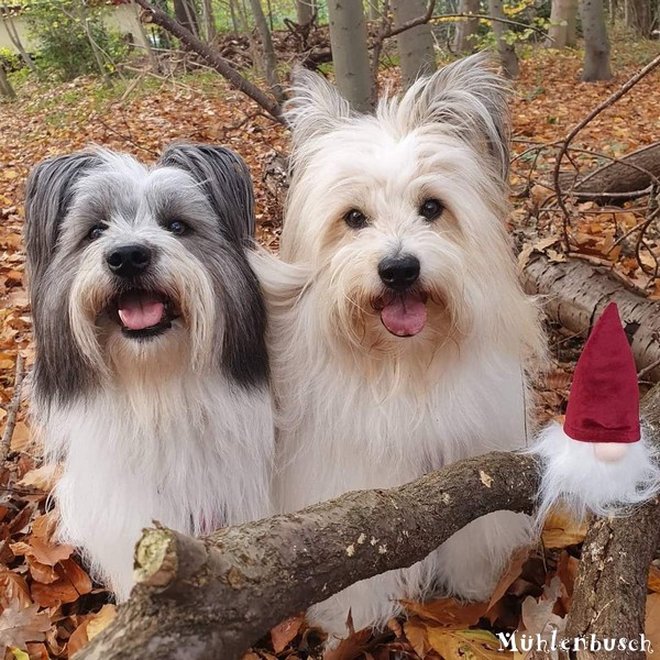 Lina und Josie finden einen Wichtel