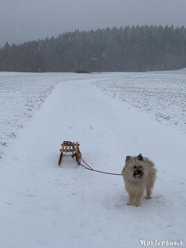 Erste Schneefreuden in 2020