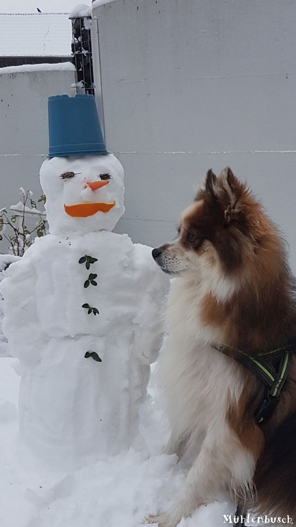 Quendra mit dem Schneemann