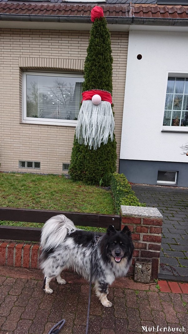 Fiete trifft einen riesengroßen Wichtel