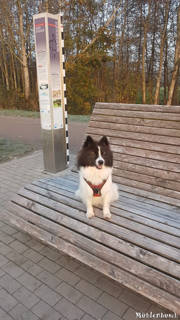 Maia auf dem Wanderweg