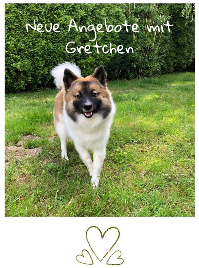 Tiergestützte Aktivität mit Gretchen