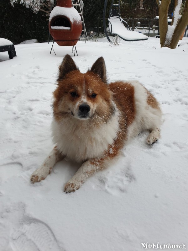 Samu weiss sowohl den Schnee als auch die Wärme zu schätzen