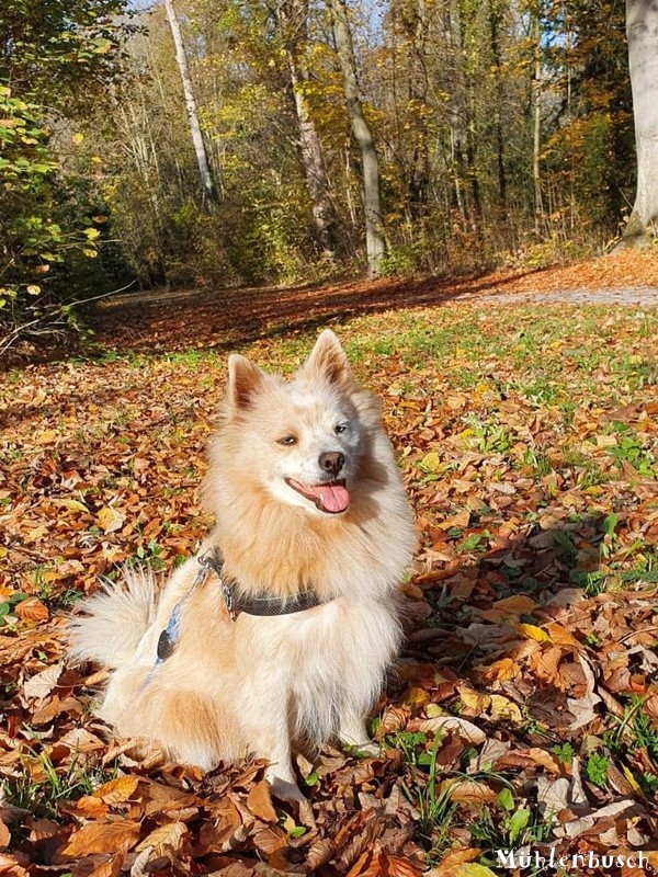 Amy in der Wintersonne