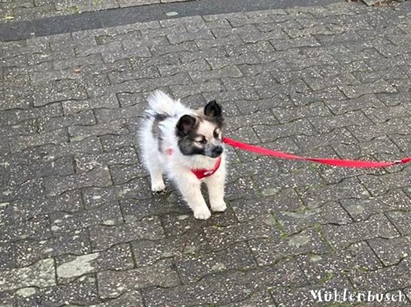 Leni (Julchen) hat sich verändert