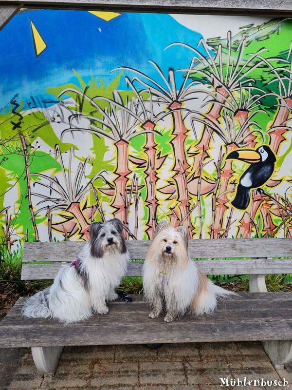 Josie und Lina entdecken Graffitis