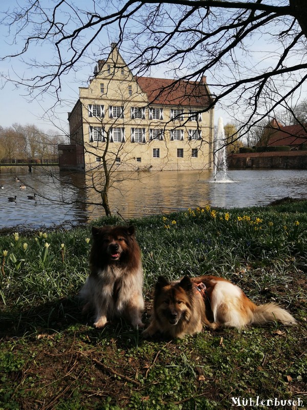 Pinkus und Smudo grüßen von Burg Hülshoff