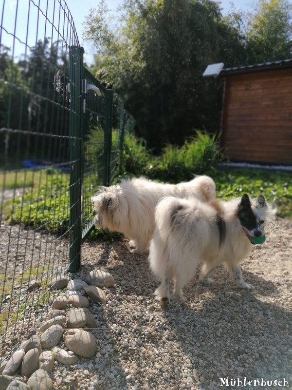 Oskar besucht Milou