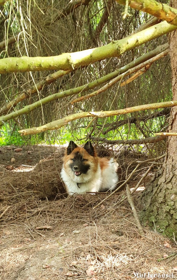 Juri baut sich eine kühle Höhle