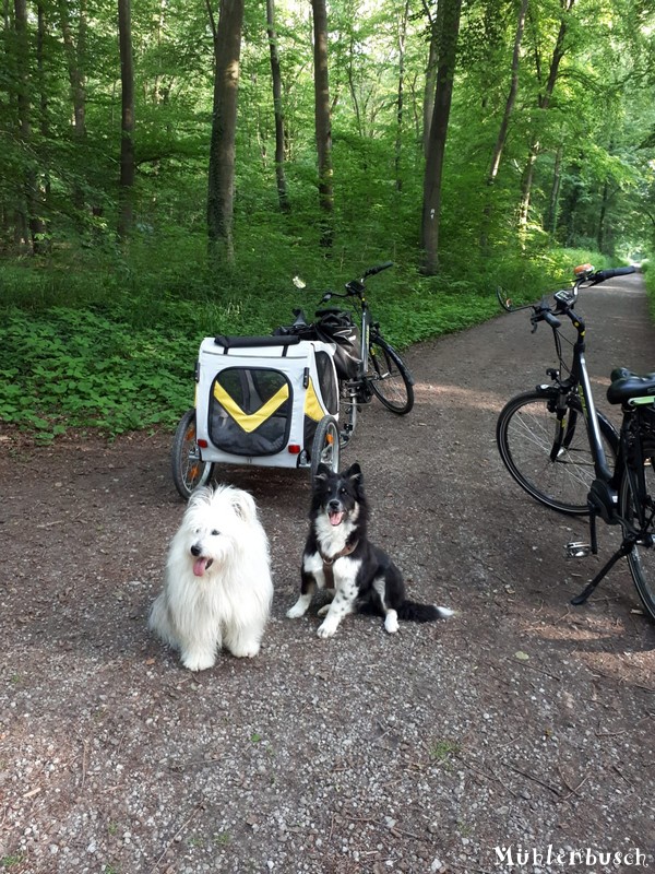 Danny und Karlsson auf Fahrrad Tour