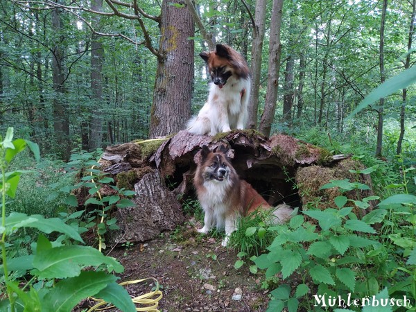 Lena und Yosie