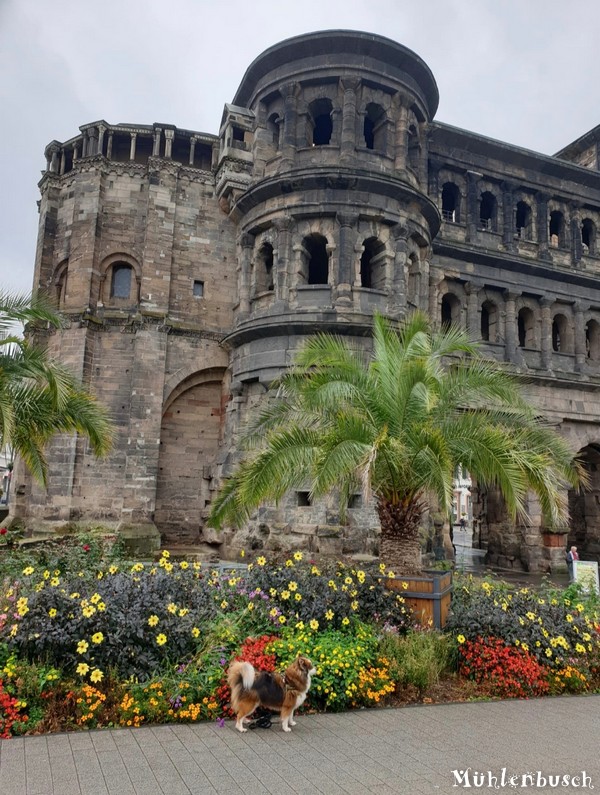 Quendra in Trier