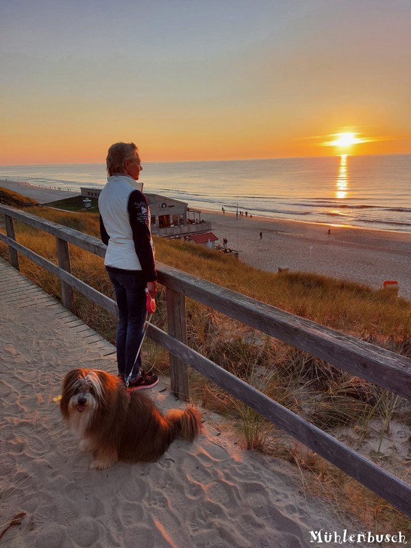 Dusty und der Sonnenuntergang