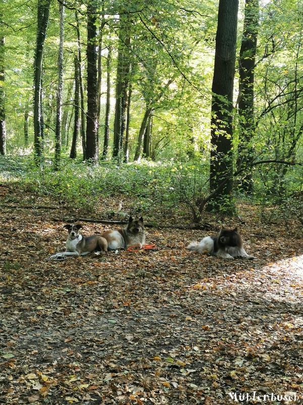 Smudo, Pinkus und Lini unterwegs