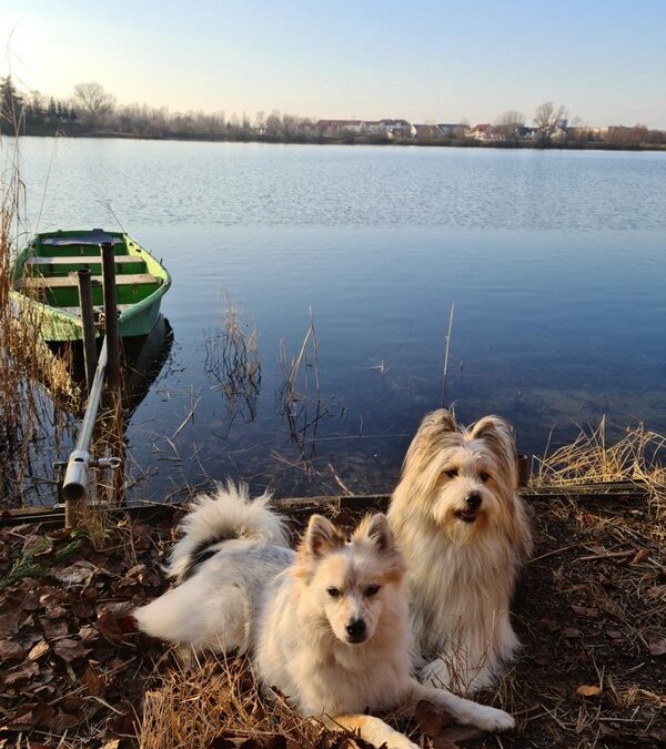 Indy und Iffy on Tour